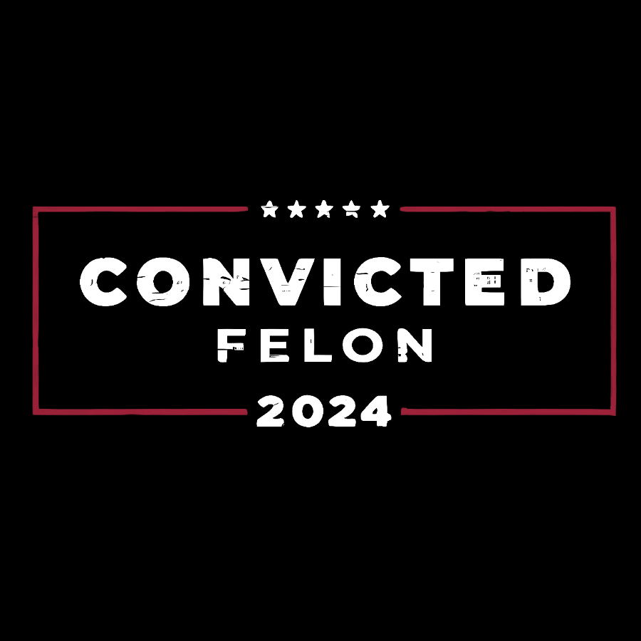 2024 Convicted Felon Geeky T-Shirt