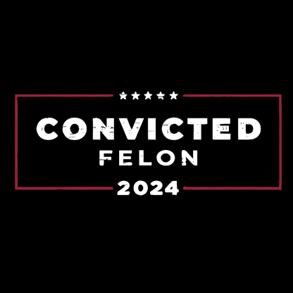 2024 Convicted Felon Geeky T-Shirt