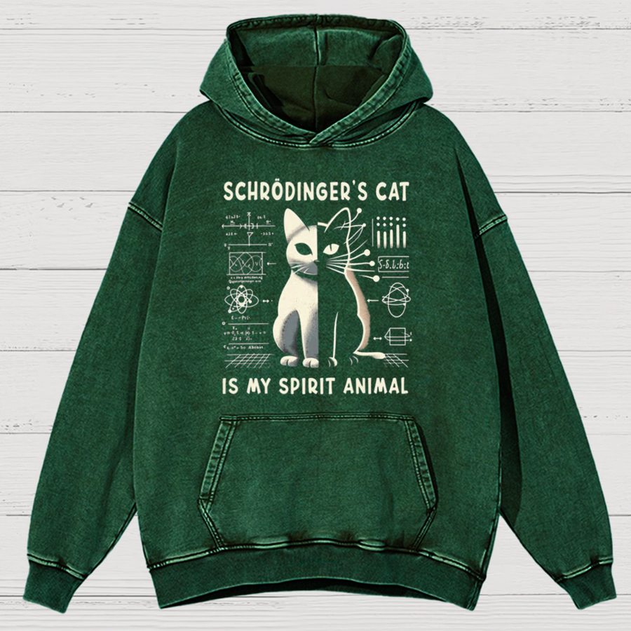 Schrodinger's Сat Science Cotton Vintage Distressed Hoodie