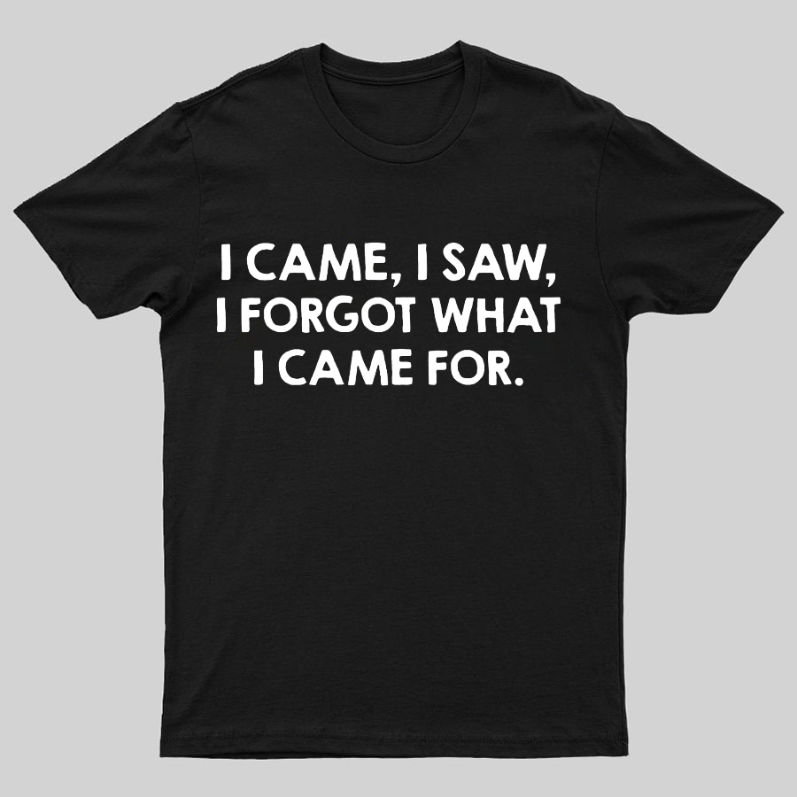 I Came and Saw Funny Geeky T-Shirt