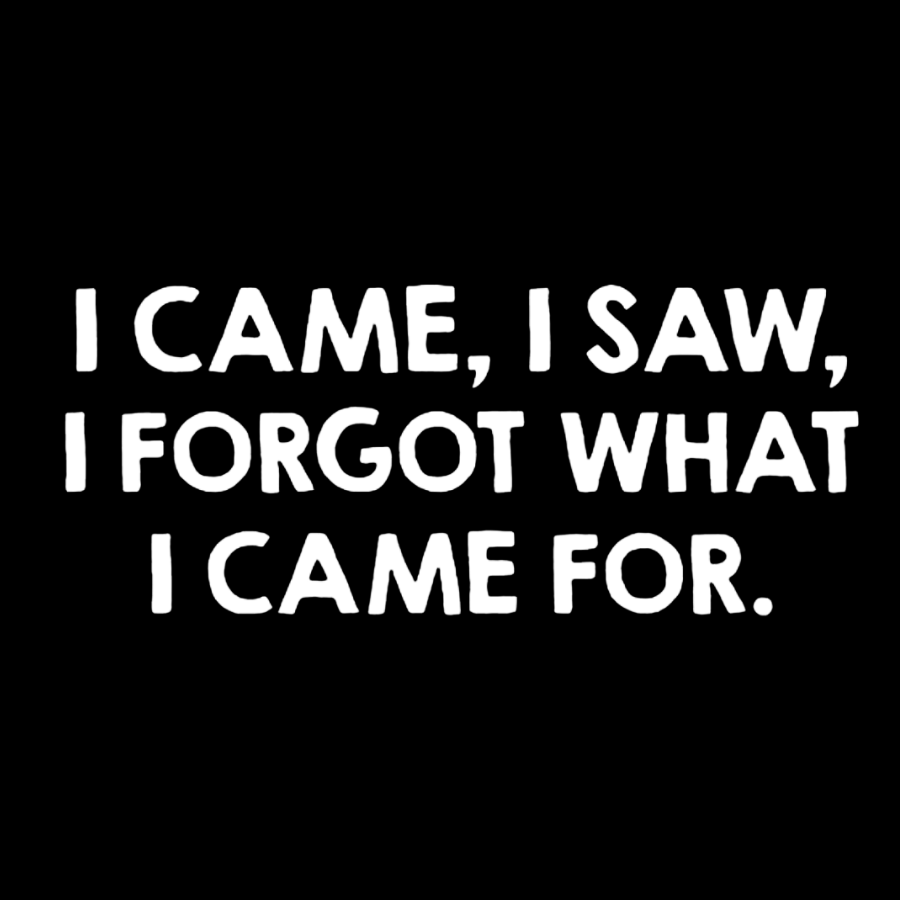 I Came and Saw Funny Geeky T-Shirt