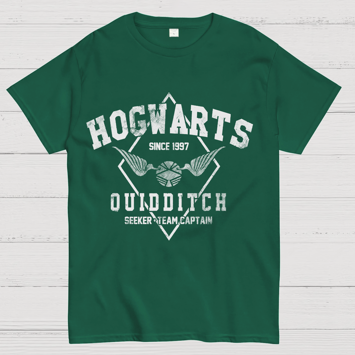 Hogwarts Quidditch Geek T-Shirt