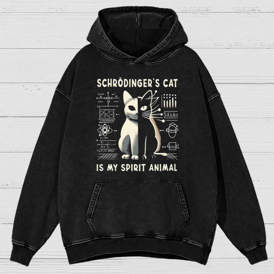 Schrodinger's Сat Science Cotton Vintage Distressed Hoodie
