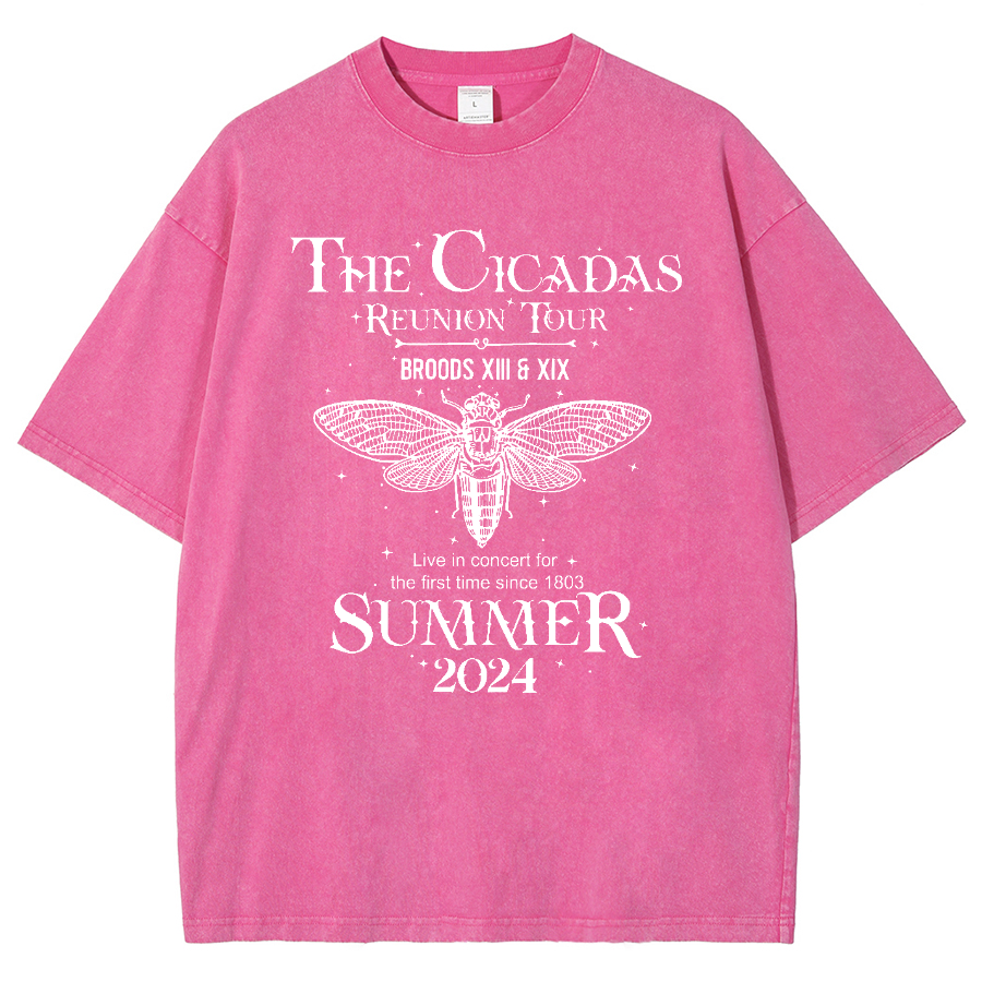The Cicada Reunion U.S Tour 2024 Cicada Vintage Distressed T-shirt