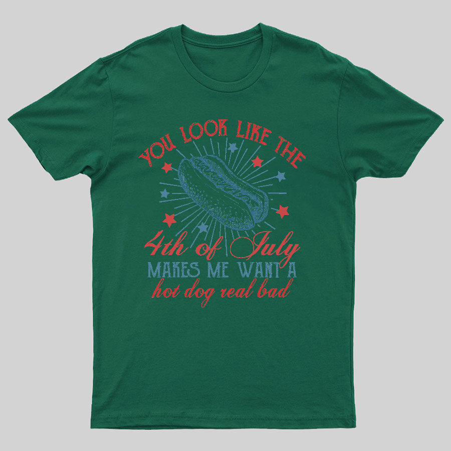 You Look Like the 4th of July Geeky T-Shirt