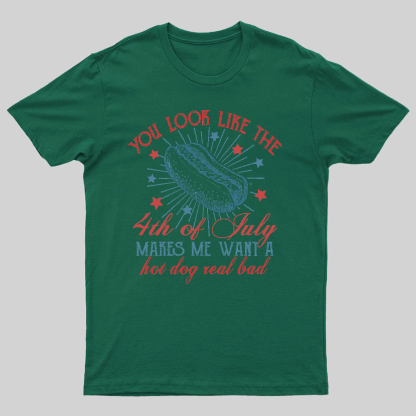 You Look Like the 4th of July Geeky T-Shirt