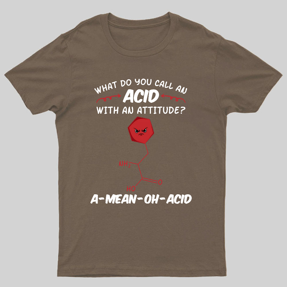 What Do You Call An ACID Geeky T-Shirt