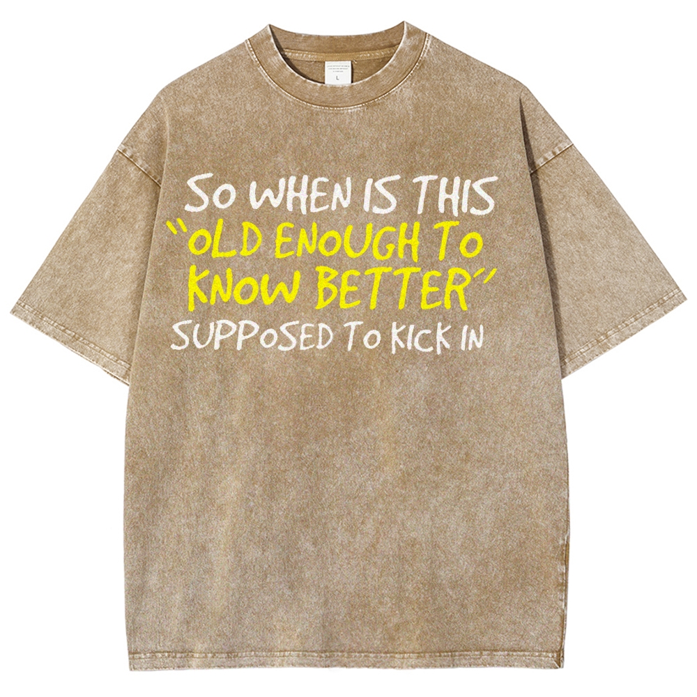 So When Is This Old Enough To Know Better Supposed To Kick In Vintage Distressed T-shirt