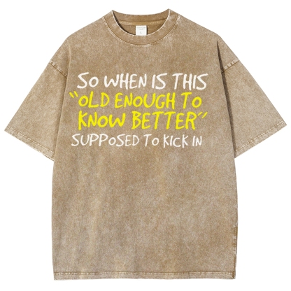 So When Is This Old Enough To Know Better Supposed To Kick In Vintage Distressed T-shirt