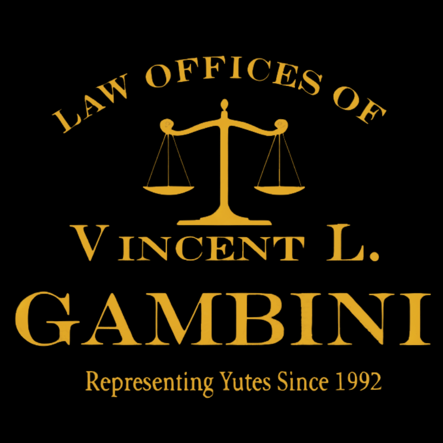 Law-Offices-of-Vincent-L Geeky T-Shirt