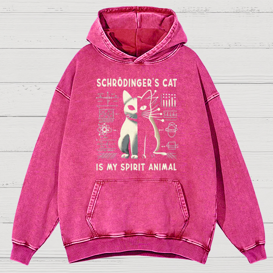 Schrodinger's Сat Science Cotton Vintage Distressed Hoodie