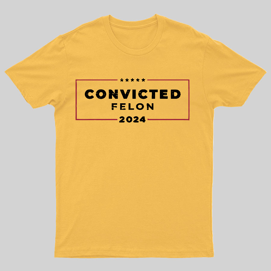 2024 Convicted Felon Geeky T-Shirt