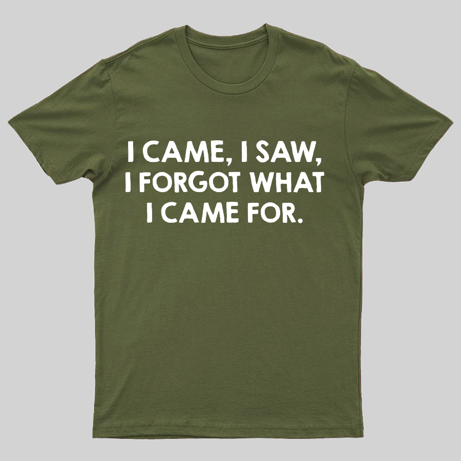 I Came and Saw Funny Geeky T-Shirt