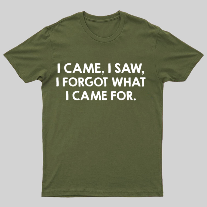I Came and Saw Funny Geeky T-Shirt