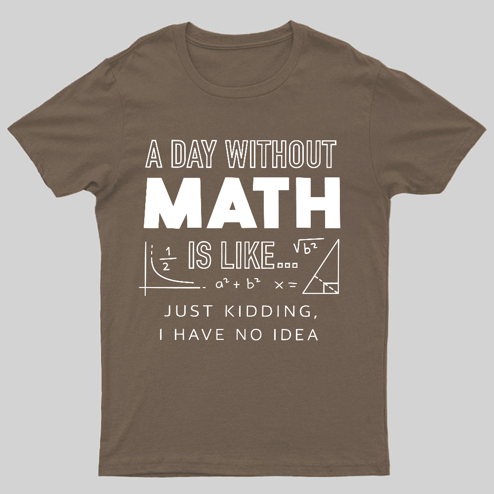 A Day Without Math Is Like Geeky T-Shirt