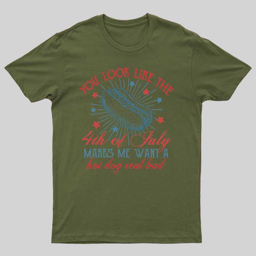 You Look Like the 4th of July Geeky T-Shirt