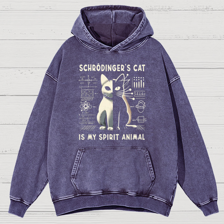 Schrodinger's Сat Science Cotton Vintage Distressed Hoodie