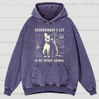 Schrodinger's Сat Science Cotton Vintage Distressed Hoodie