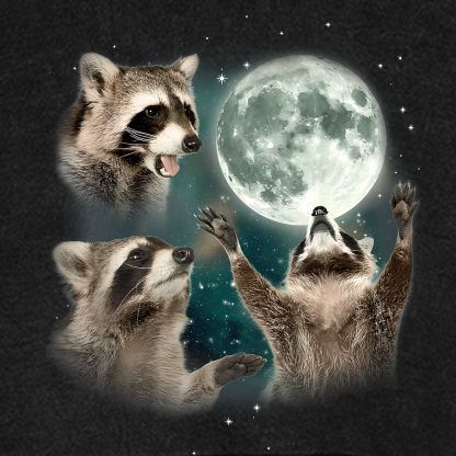  Three Raccoons Moon  Vintage Distressed Hoodie