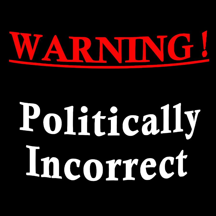 Politically Incorrect Geeky T-Shirt