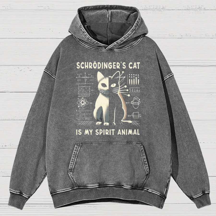 Schrodinger's Сat Science Cotton Vintage Distressed Hoodie