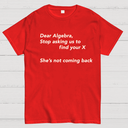 Dear Algebra, Stop Asking Us To Find Your X-1 Geeky T-Shirt