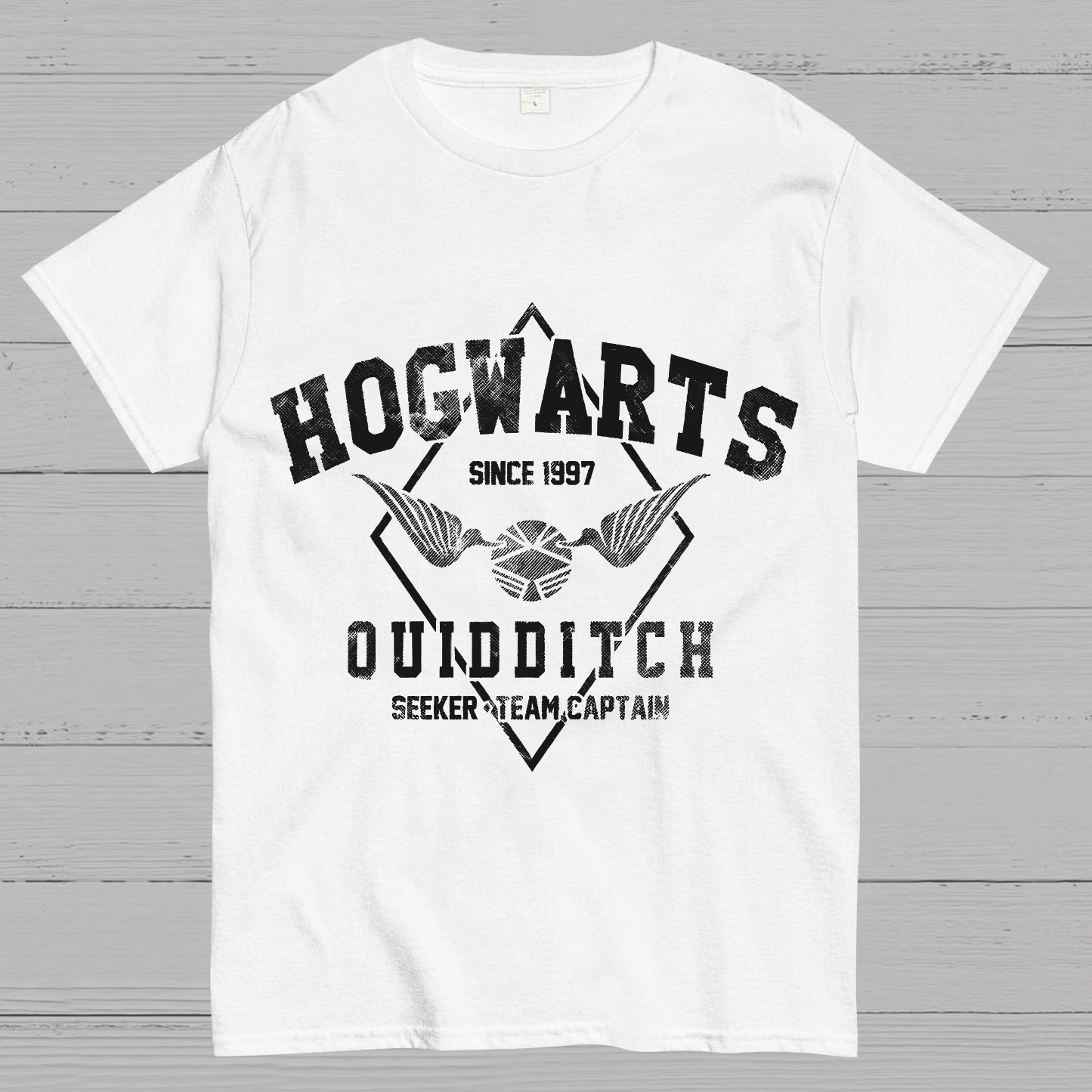 Hogwarts Quidditch Geek T-Shirt
