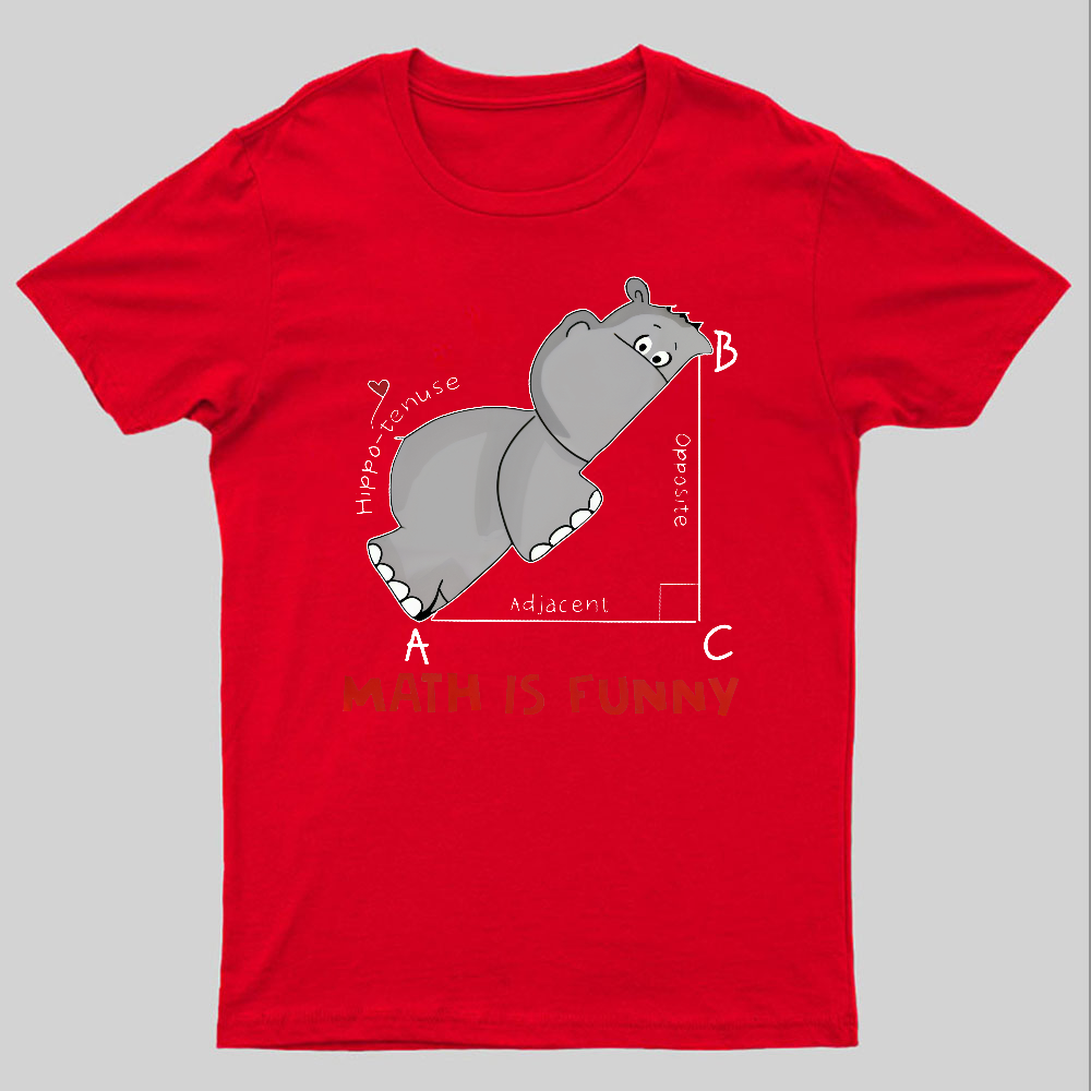 Math Is Funny Geeky T-Shirt