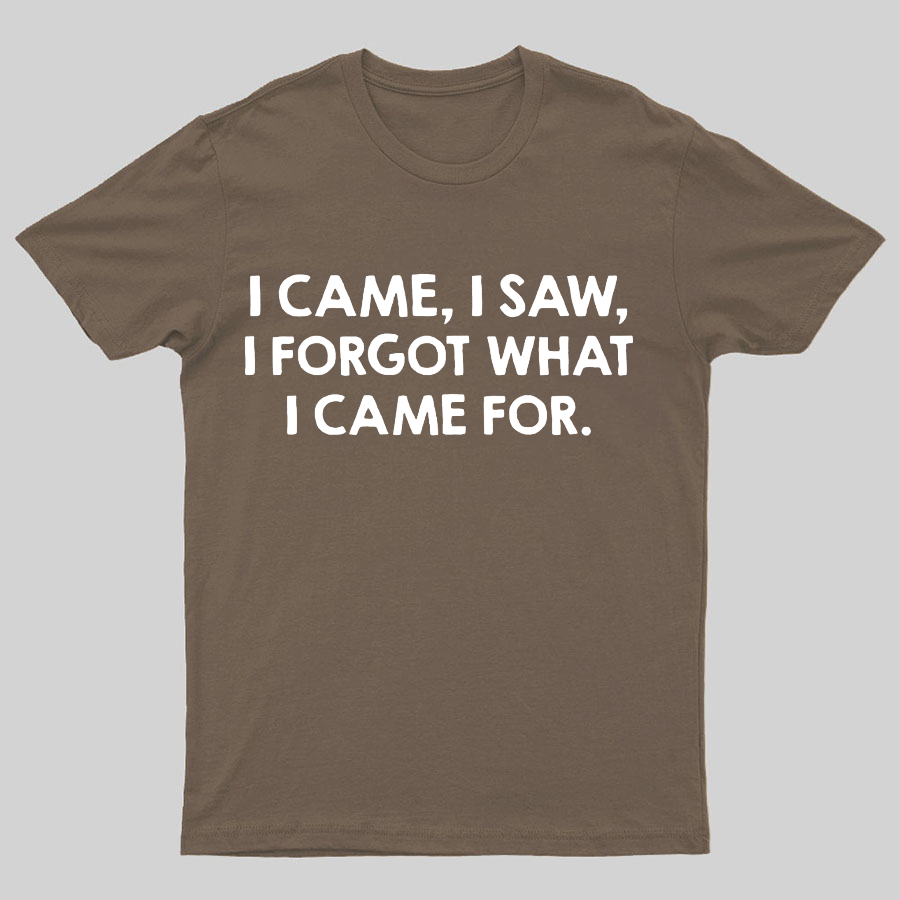 I Came and Saw Funny Geeky T-Shirt