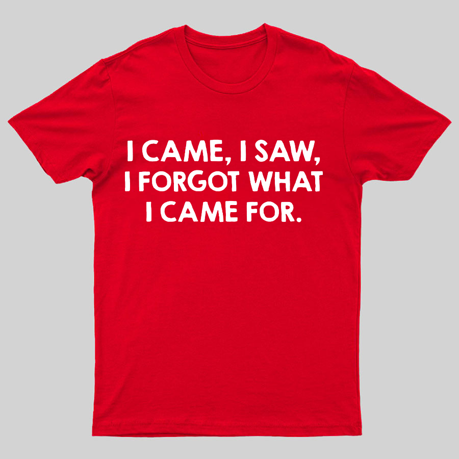 I Came and Saw Funny Geeky T-Shirt