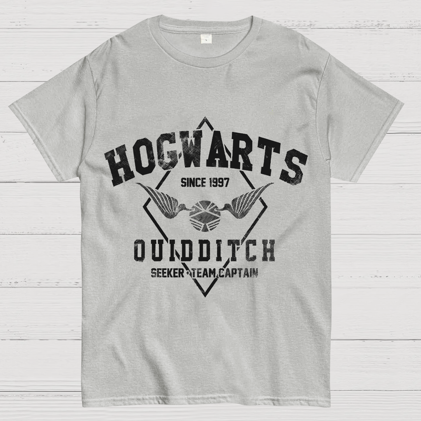 Hogwarts Quidditch Geek T-Shirt