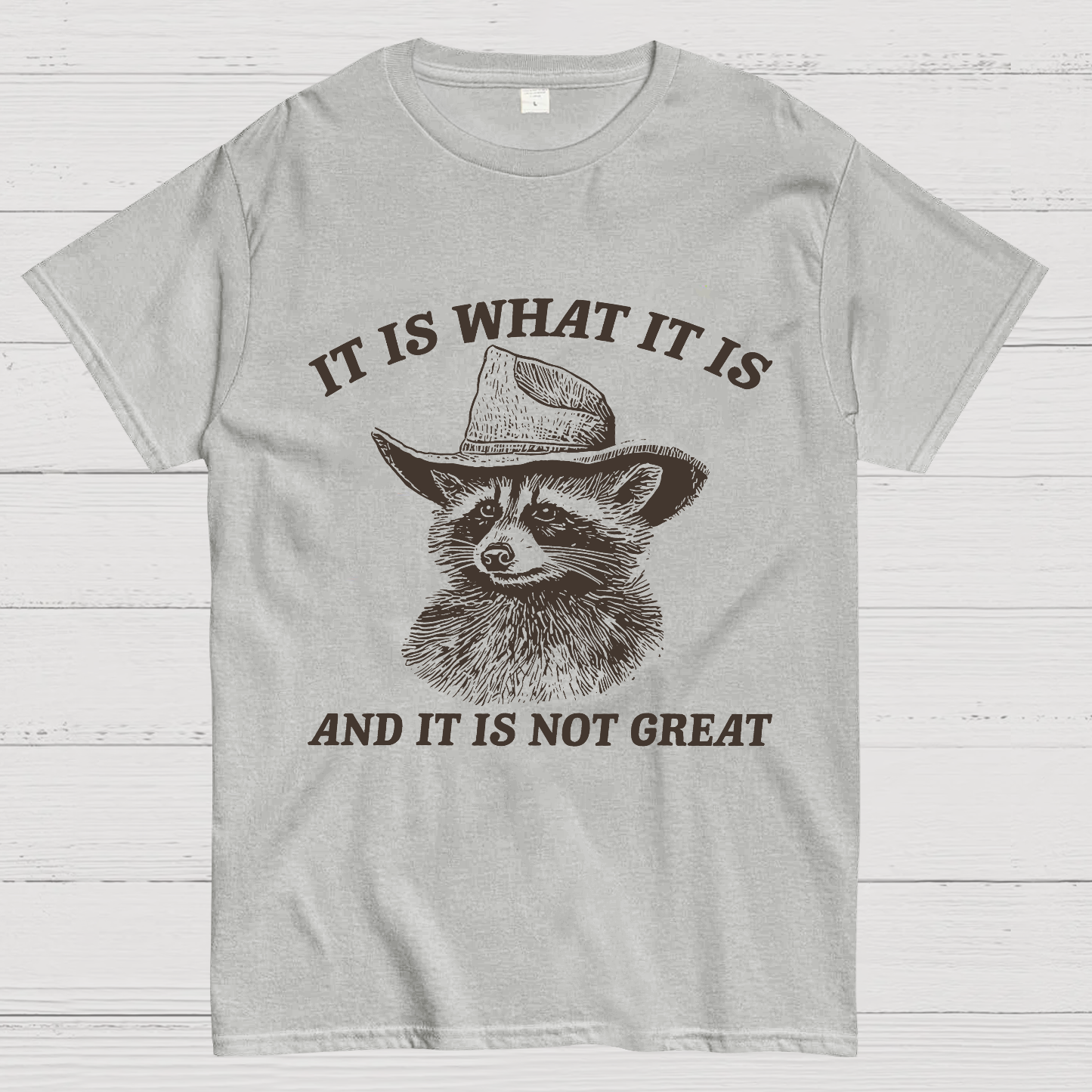 t Is What It Is And It Is Not Great Vintage Raccoon Geeky T-Shirt