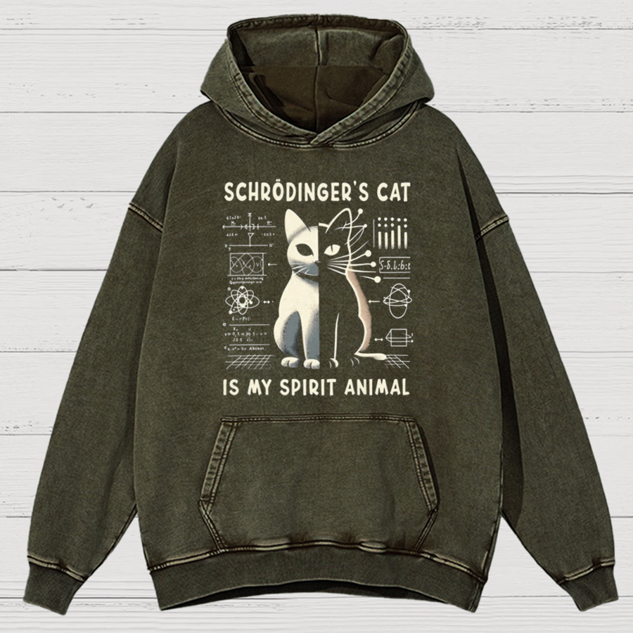 Schrodinger's Сat Science Cotton Vintage Distressed Hoodie