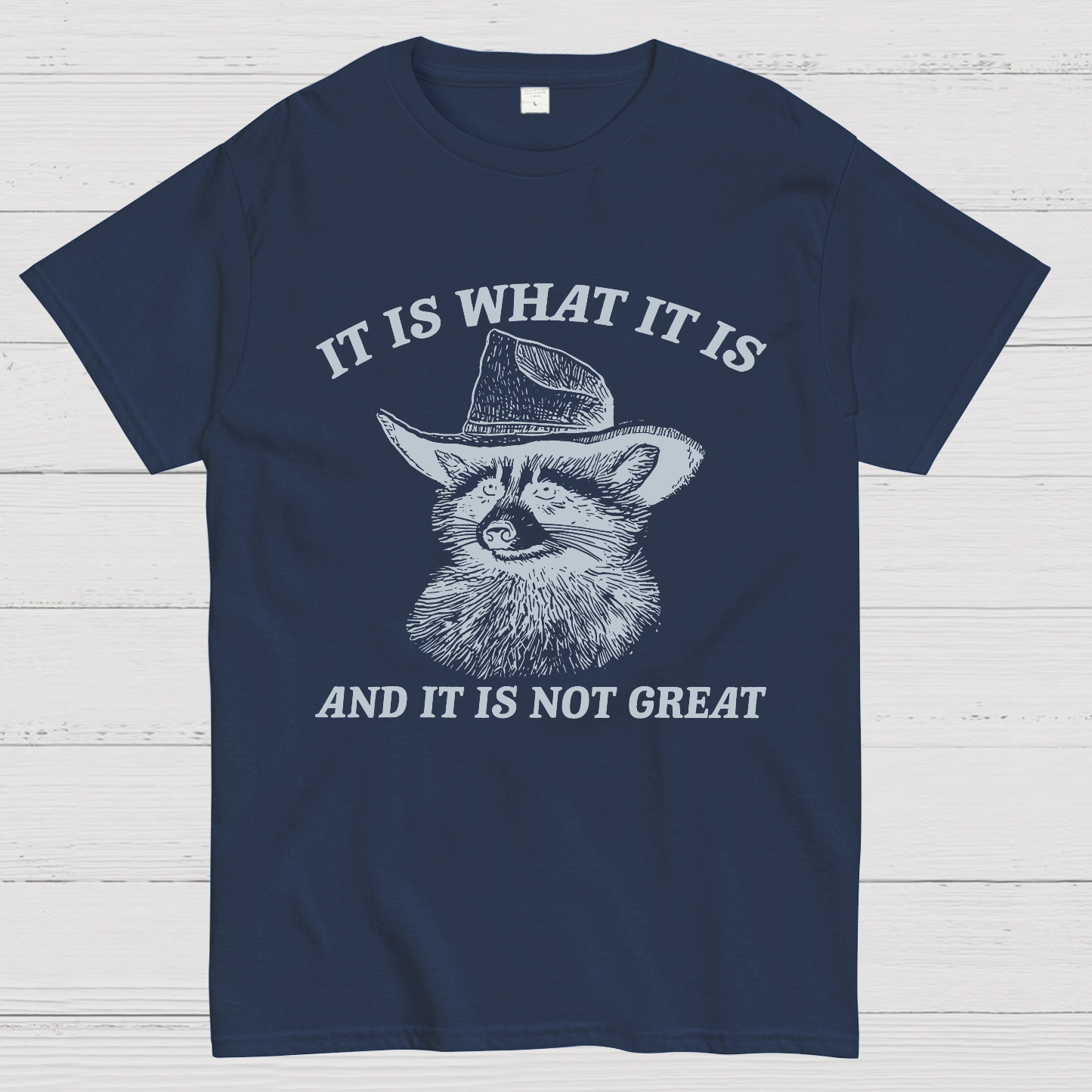 t Is What It Is And It Is Not Great Vintage Raccoon Geeky T-Shirt