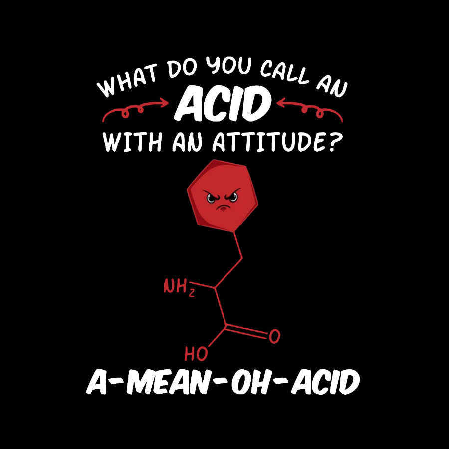 What Do You Call An ACID Geeky T-Shirt