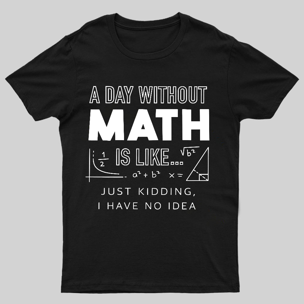 A Day Without Math Is Like Geeky T-Shirt