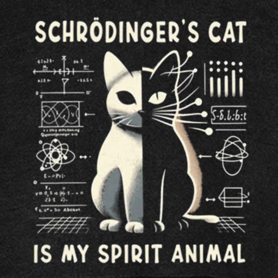 Schrodinger's Сat Science Cotton Vintage Distressed Hoodie