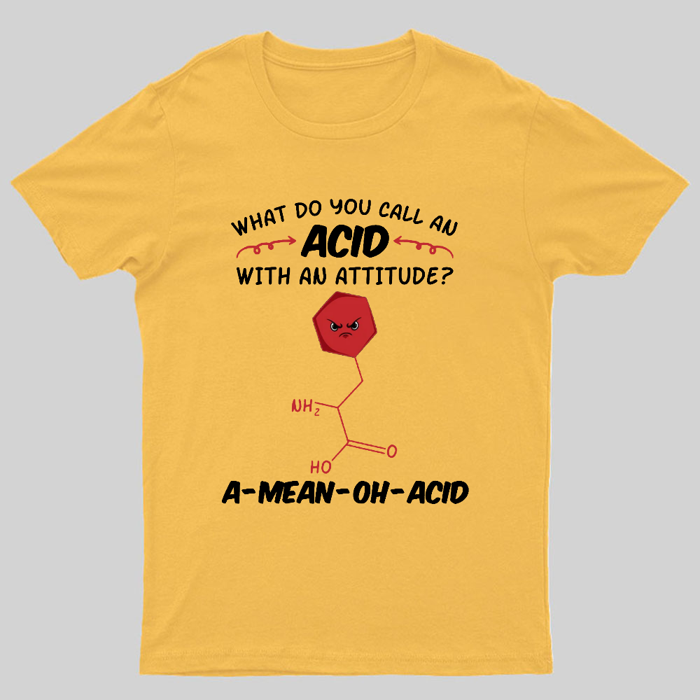 What Do You Call An ACID Geeky T-Shirt