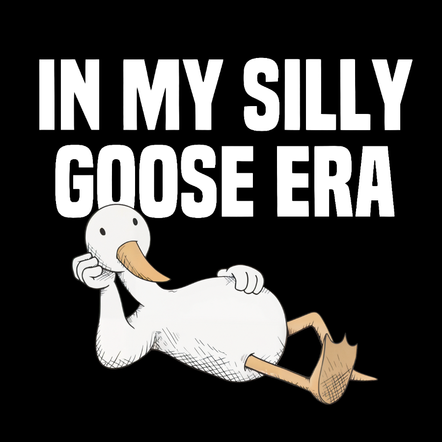 In My Silly Goose Era, Silly Goose T-Shirt