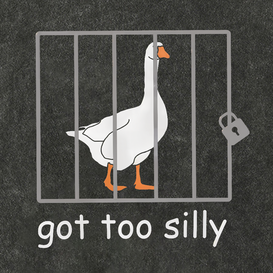 Got Too Silly Shirt, Silly Goose Vintage Distressed T-shirt