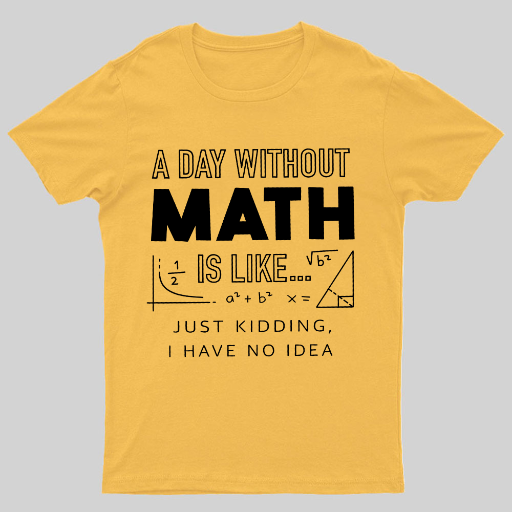 A Day Without Math Is Like Geeky T-Shirt