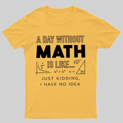 A Day Without Math Is Like Geeky T-Shirt
