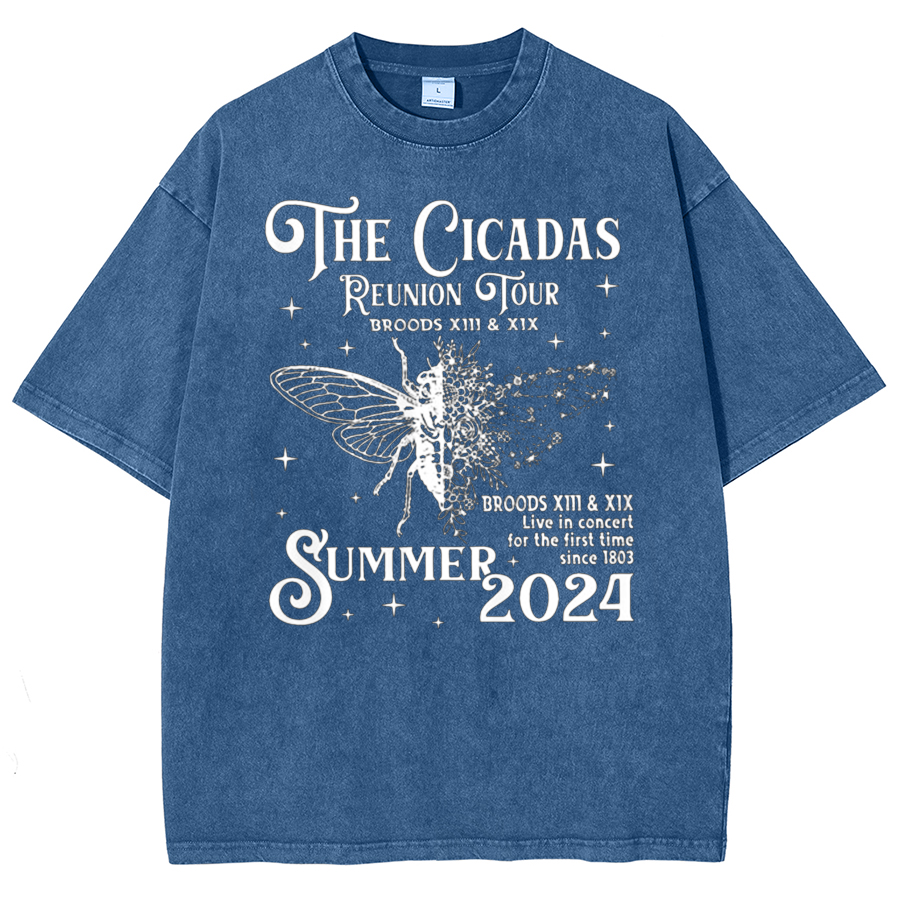 The Cicadas Reunion Tour Summer 2024 Vintage Distressed T-shirt