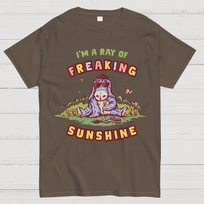 A Freaking Ray Of Sunshine Geek T-Shirt