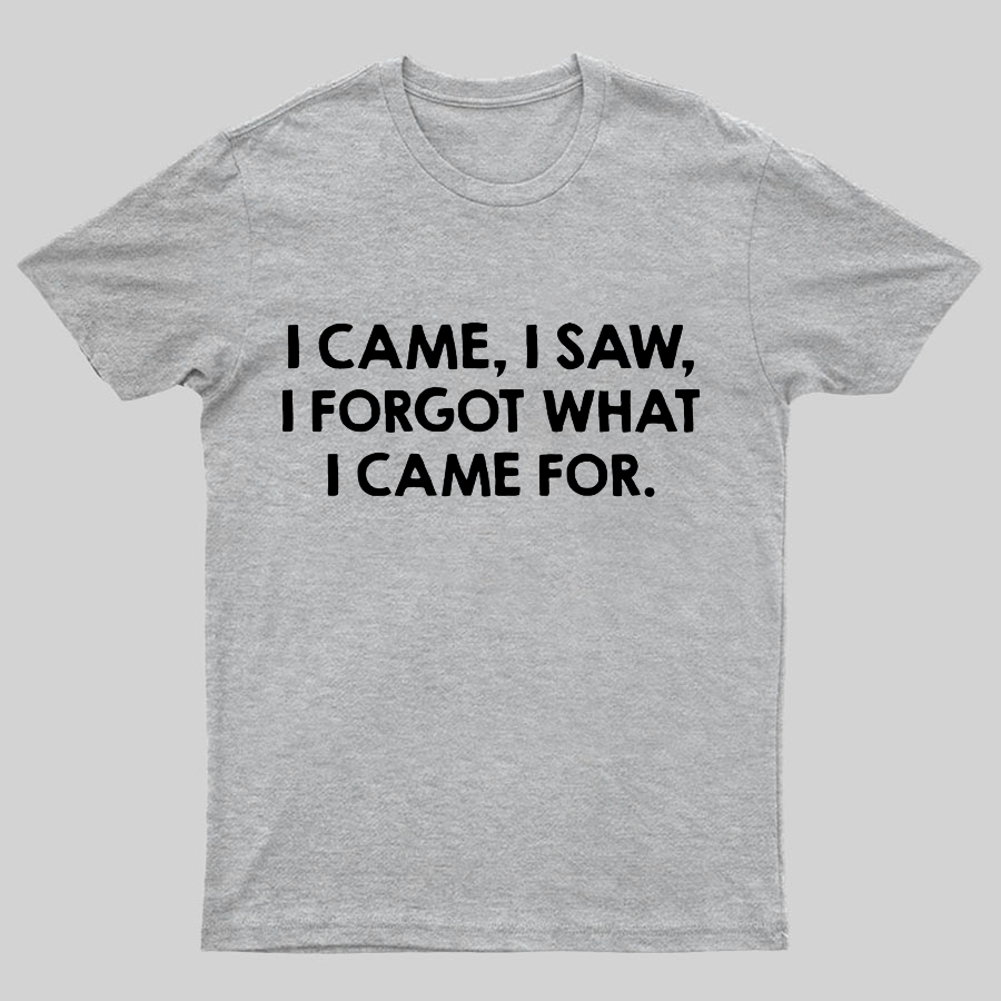 I Came and Saw Funny Geeky T-Shirt