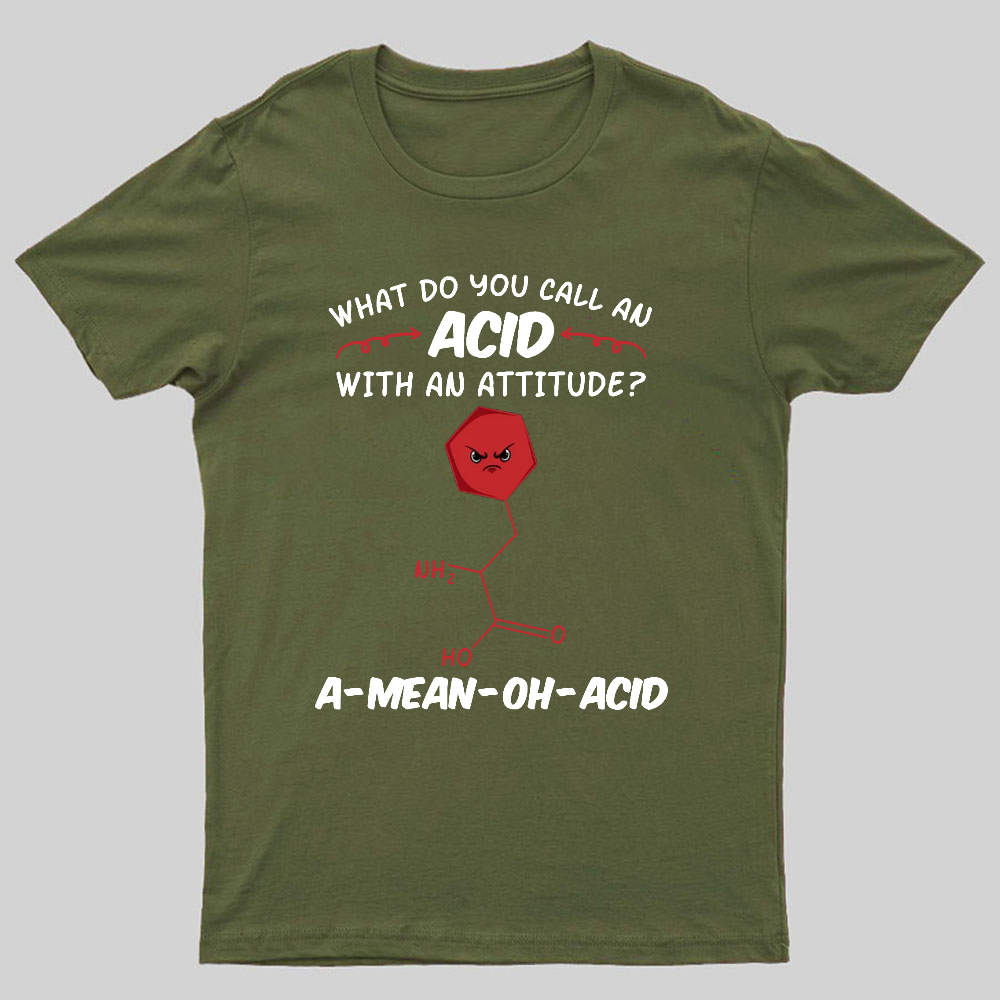 What Do You Call An ACID Geeky T-Shirt