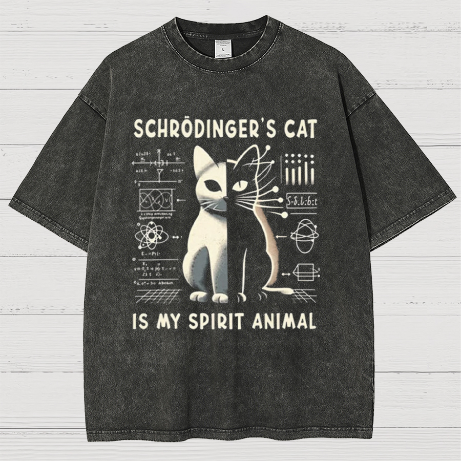 Schrodinger's Сat Science Vintage Distressed T-shirt