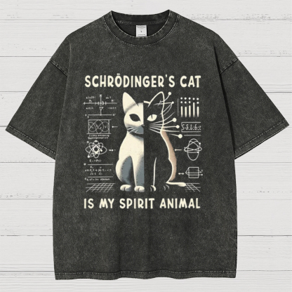 Schrodinger's Сat Science Vintage Distressed T-shirt
