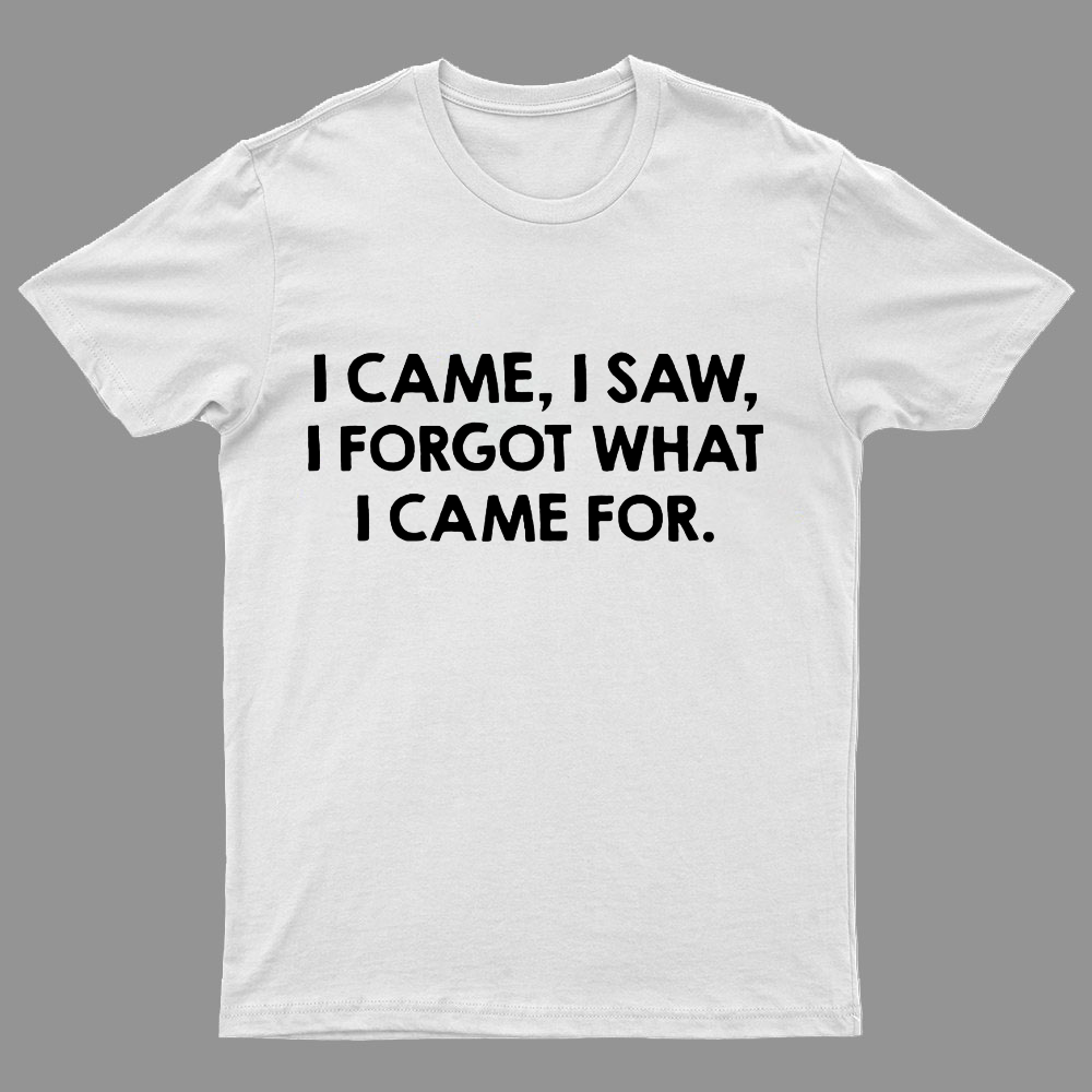 I Came and Saw Funny Geeky T-Shirt