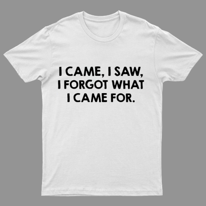I Came and Saw Funny Geeky T-Shirt
